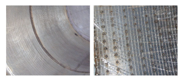 襯塑容器金屬表面用龜甲網處理